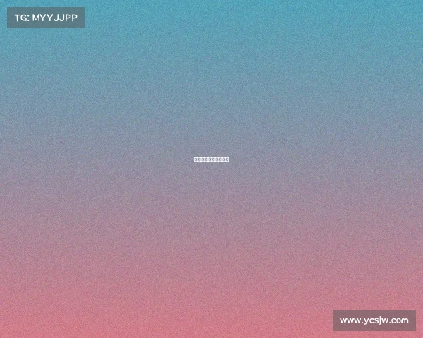 网球赛事总监是干什么